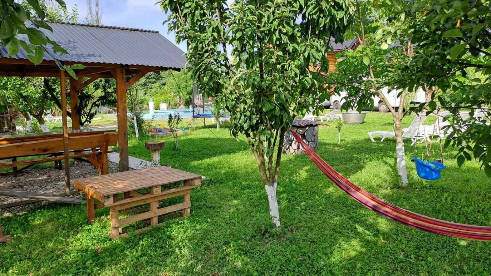 Фазенда "Змерега" Solotvyno Extérieur photo